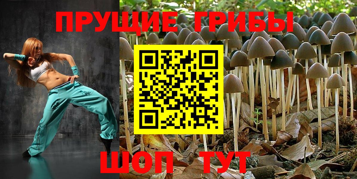 Галлюциногенные грибы мицелий Калач-на-Дону